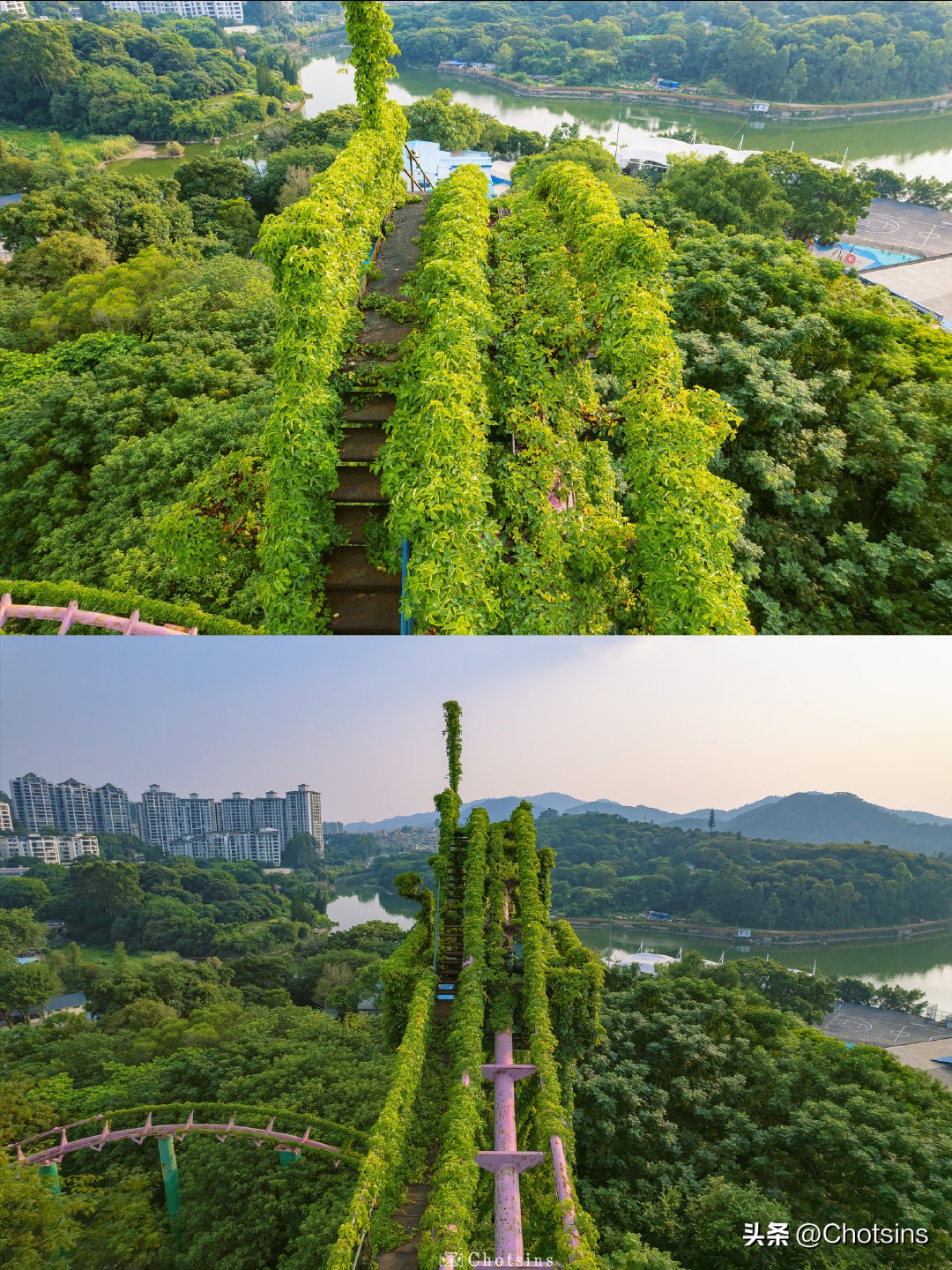 Abandoned roller coaster covered with climbing vines iNEWS