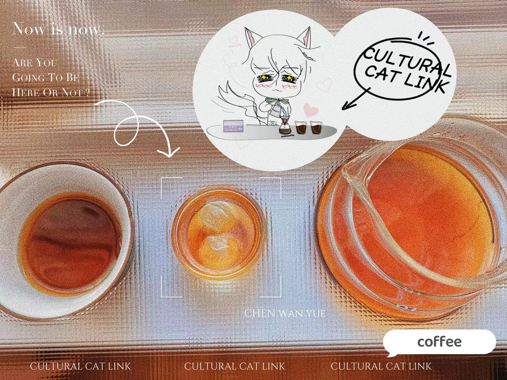 What happens to the beans we drink before they coffee? The