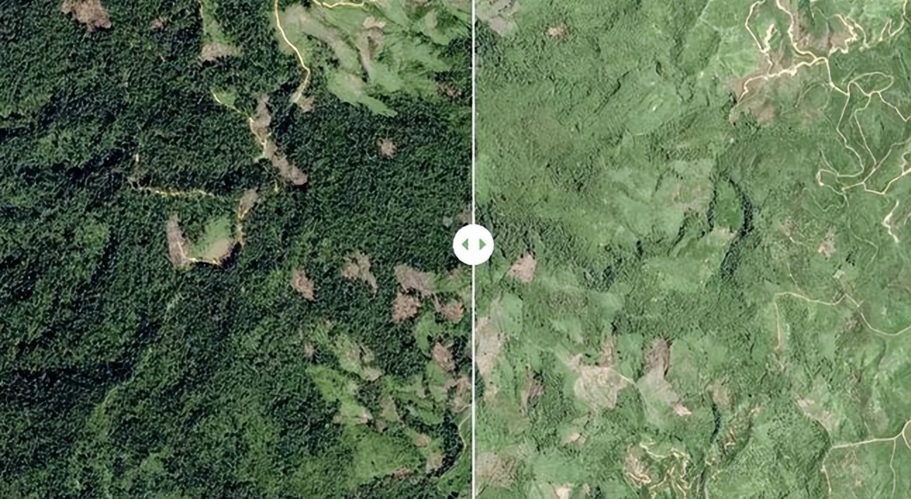 Overview of Forest Health Research Based on Remote Sensing Technology ...