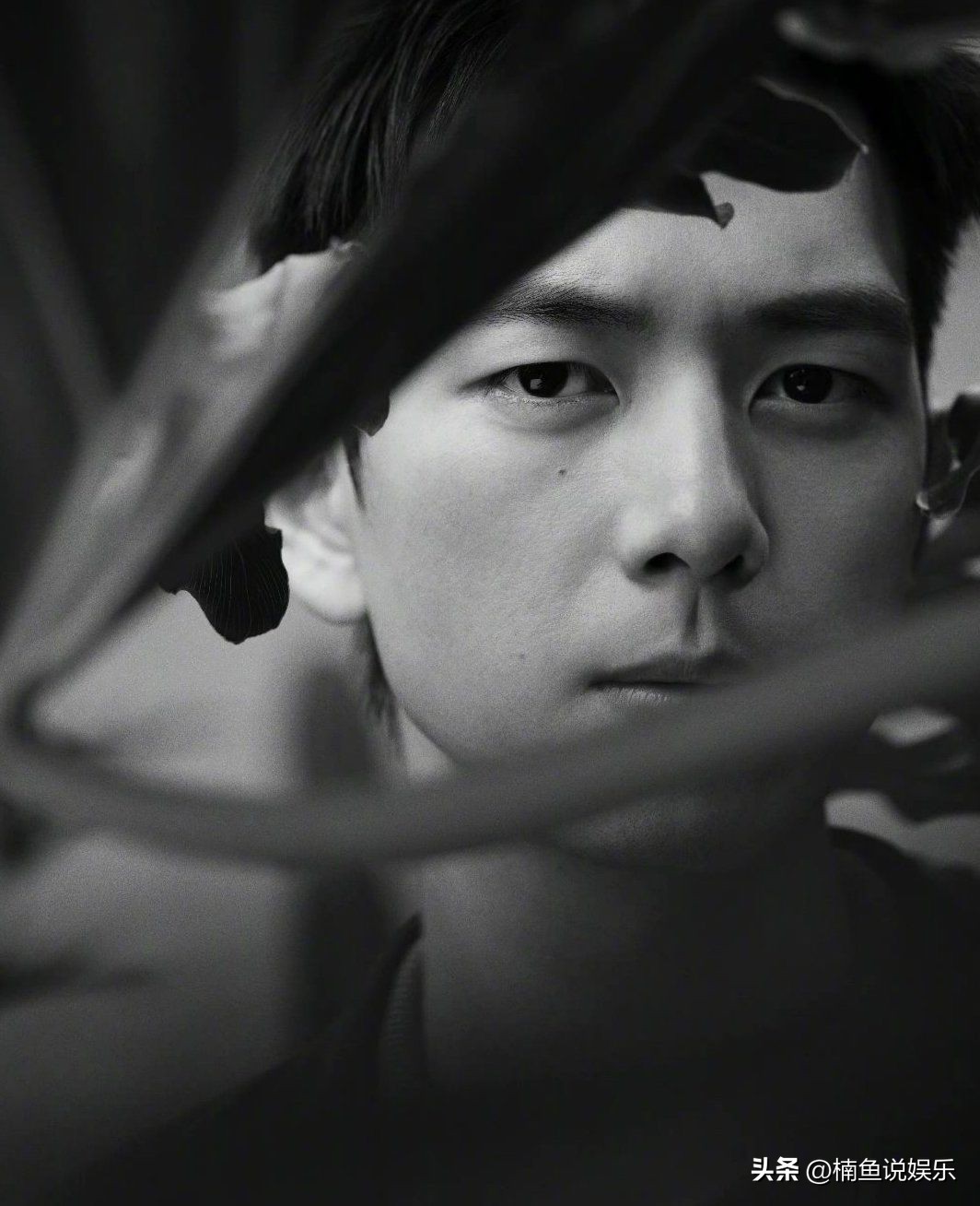 You can always believe in Li Xian's photos, wearing a suit to show his