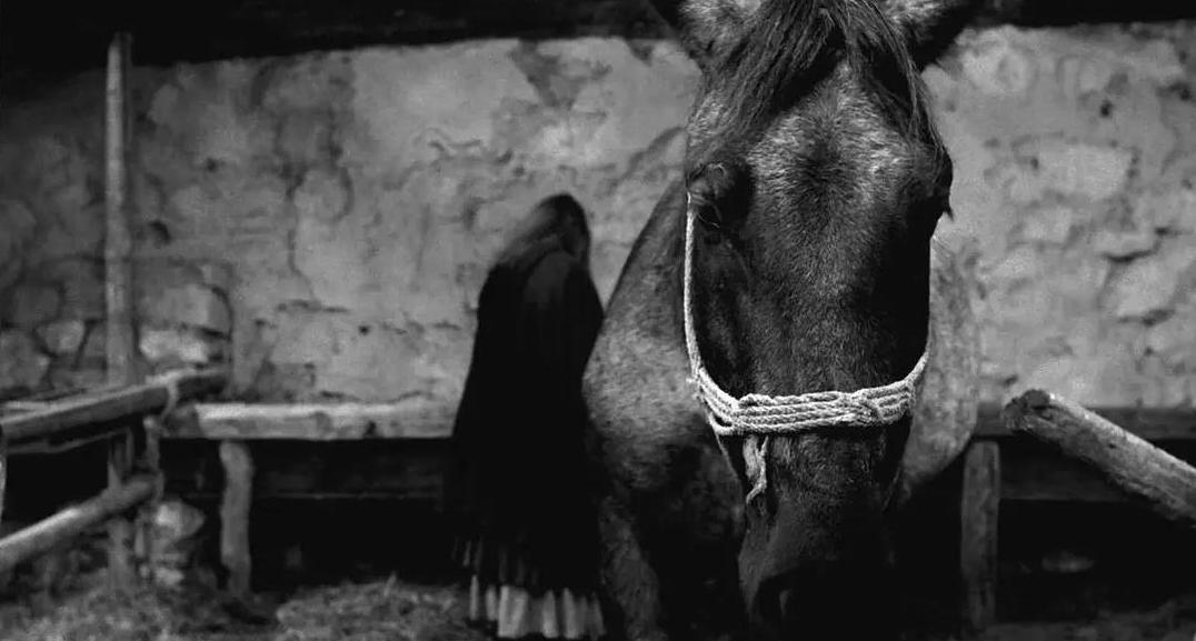 The Horse of Turin Symbolism and Visual Charm in a Fantasy World iNEWS