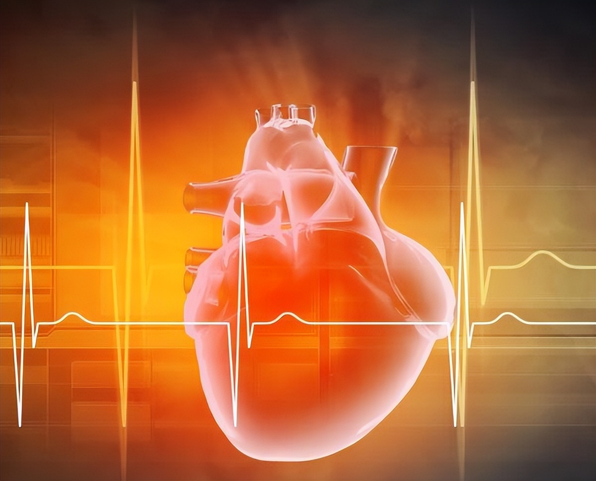 What s The Difference Between A Heart Rate Of 60 And 80 What Kind Of 