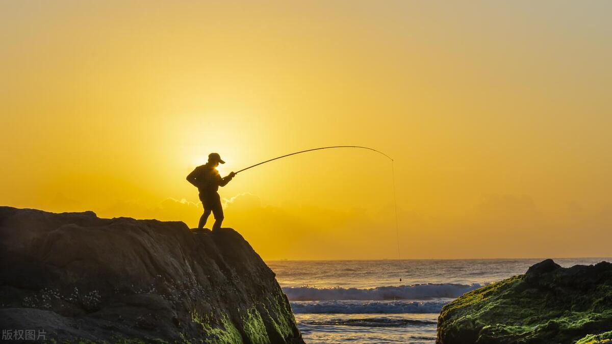 How to use the exposure compensation function to take backlit photos? iMedia