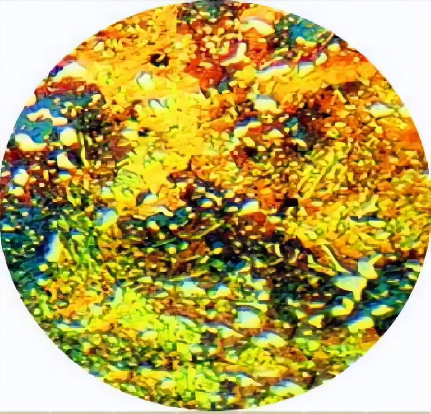 The importance of metallographic preparation and observation in the ...