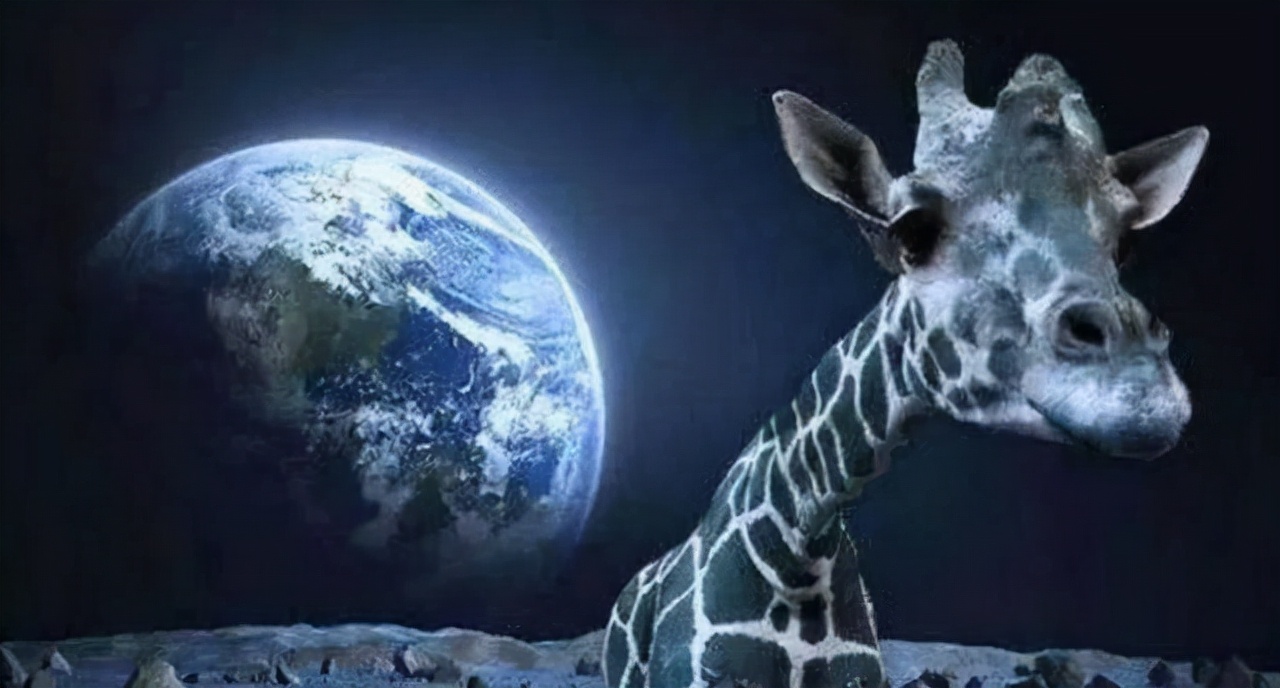 24c945a341364aac9b5cdb0948952dca ¿Existe una civilización extraterrestre? ¿Dónde está si existe? Aquí hay 3 conjeturas más razonables