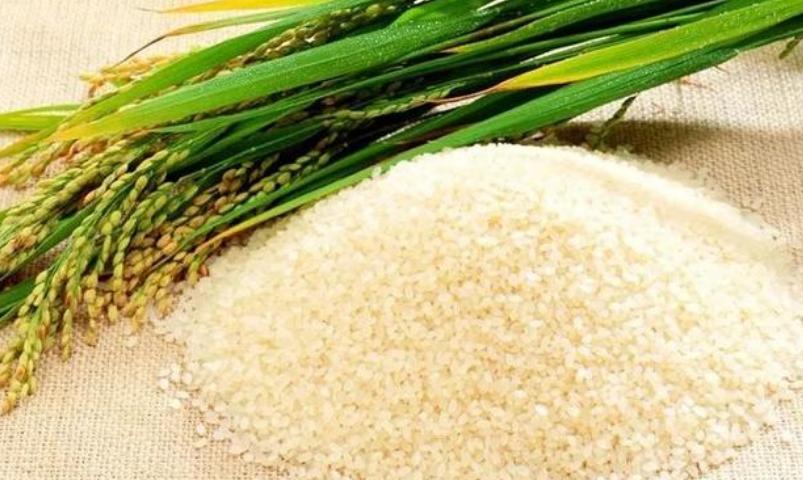 The 3 kinds of rice that are 