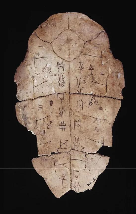 Shogunul Inscriptions Read the text to know the past and the present - iNEWS