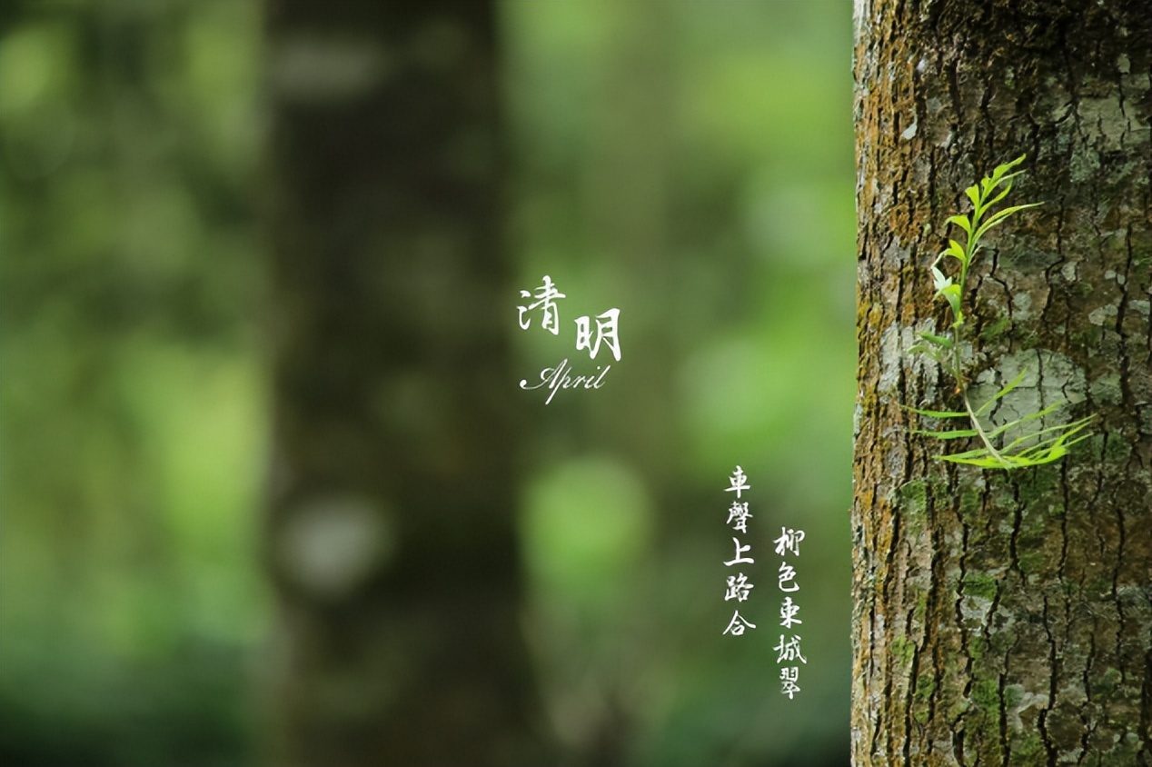 Every year hurts spring and people get old, how can Shaohua be reserved