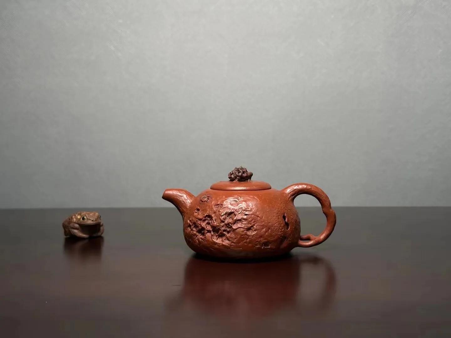 Blessed toad offering spring - iNEWS