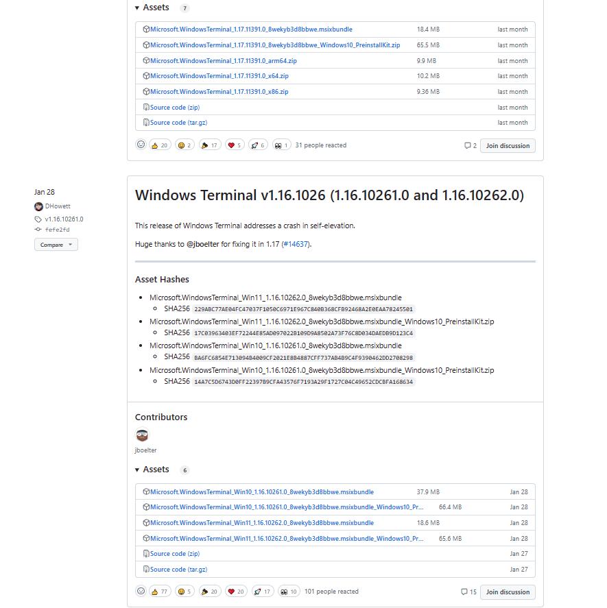 shock! Windows Terminal finally released the exe version! Easy to ...