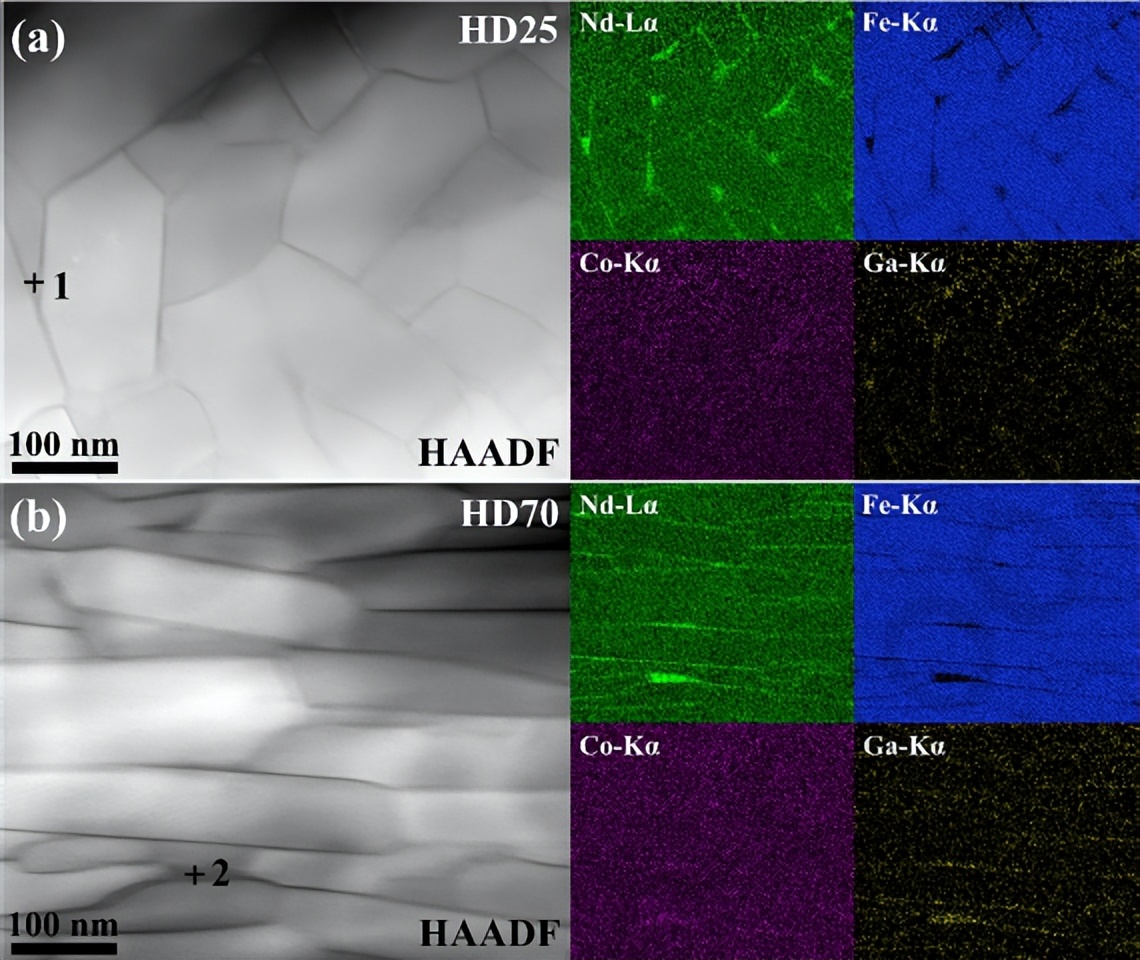 Tem Filter Paper Interpretation of TEM Papers - Issue 10 - iNEWS