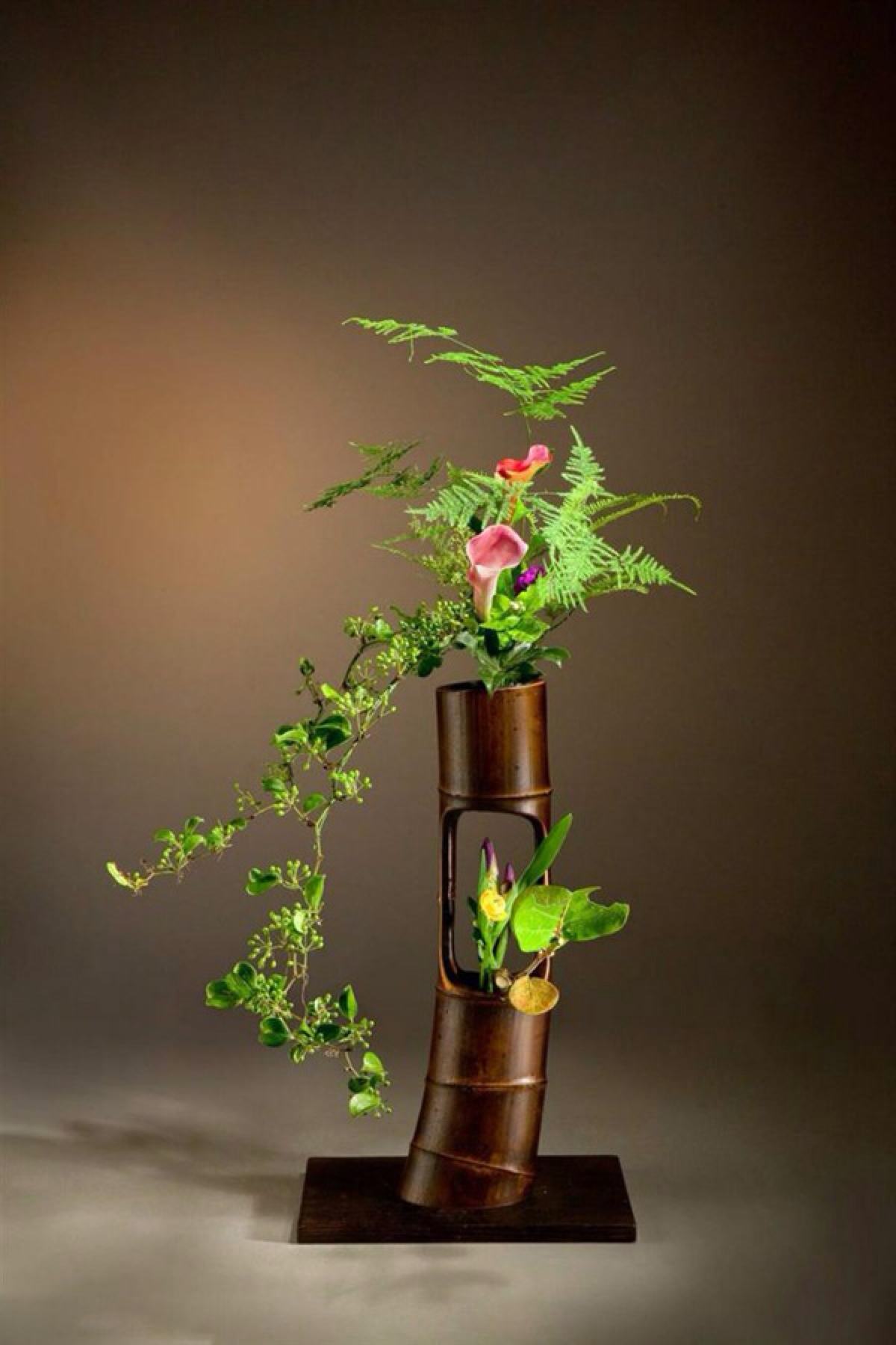 One flower, one world, one leaf, one universe, feel the intangible ...