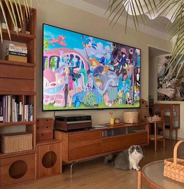 There is no need to buy the most expensive TV, these 5 highquality and