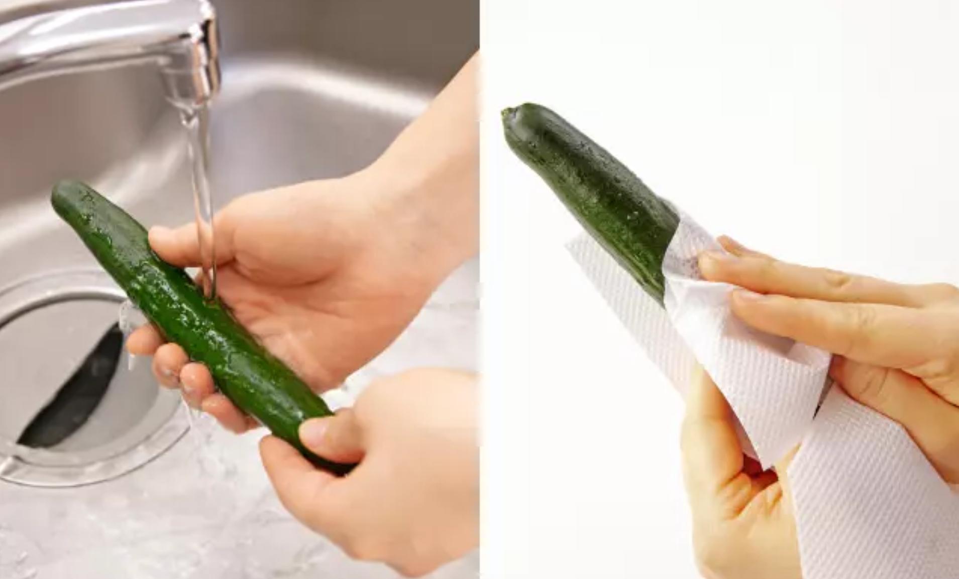How To Freeze And Thaw Cucumbers Please Freeze The Whole Root But Do Not Fully Defrost When 8137
