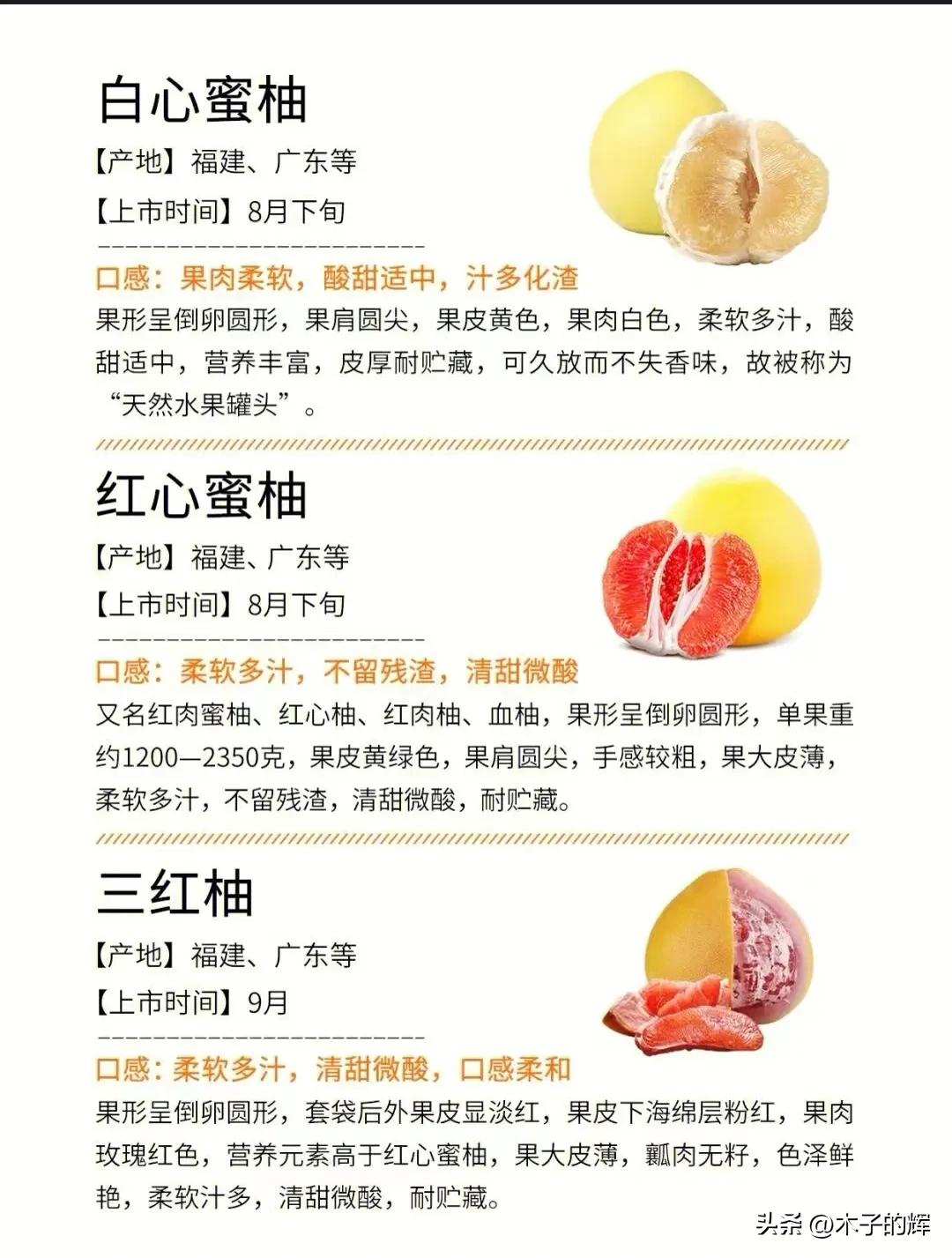 Buy grapefruit and learn these 3 skills to ensure you pick a good