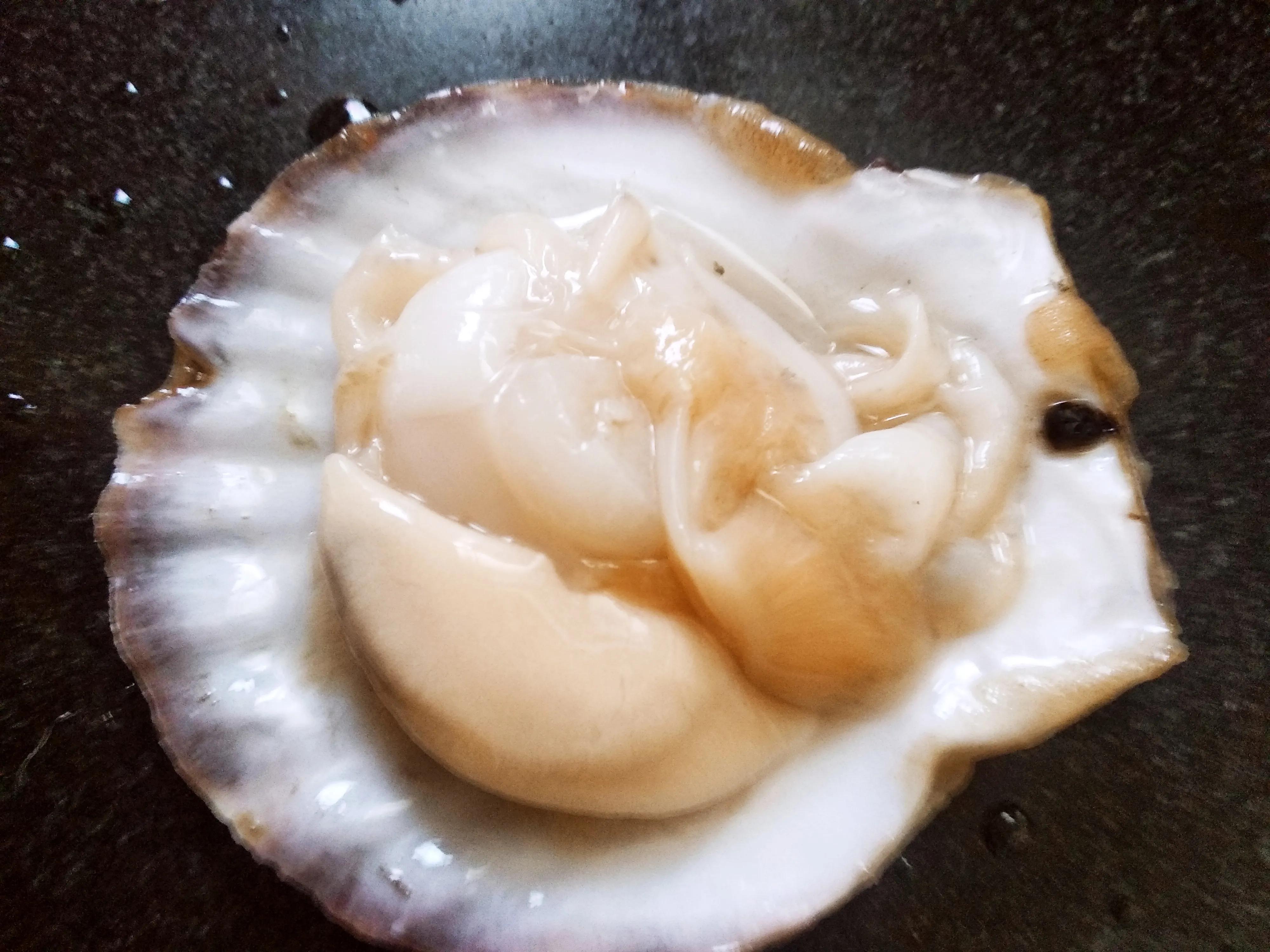 They are all scallops shrimp mussels, clams, clams, and bay shells are