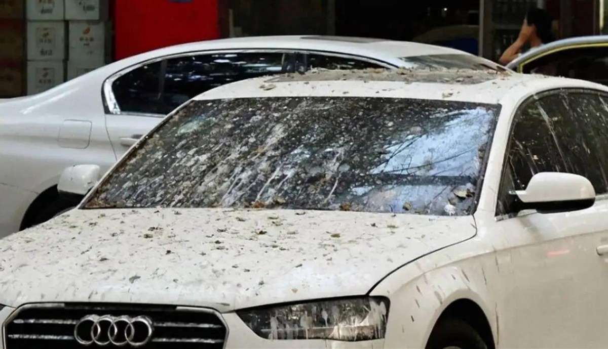 What color car is the safest, this color has a very high accident rate iNEWS