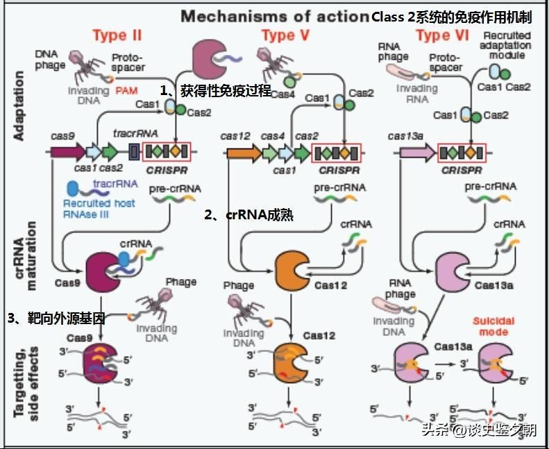 How complex is the dynamic change of RNA structure? - iMedia