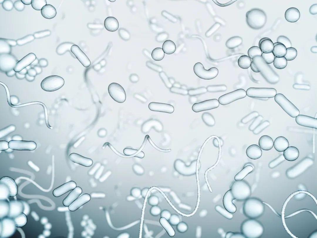 How dirty are the toilets in public toilets?Can cause sexually