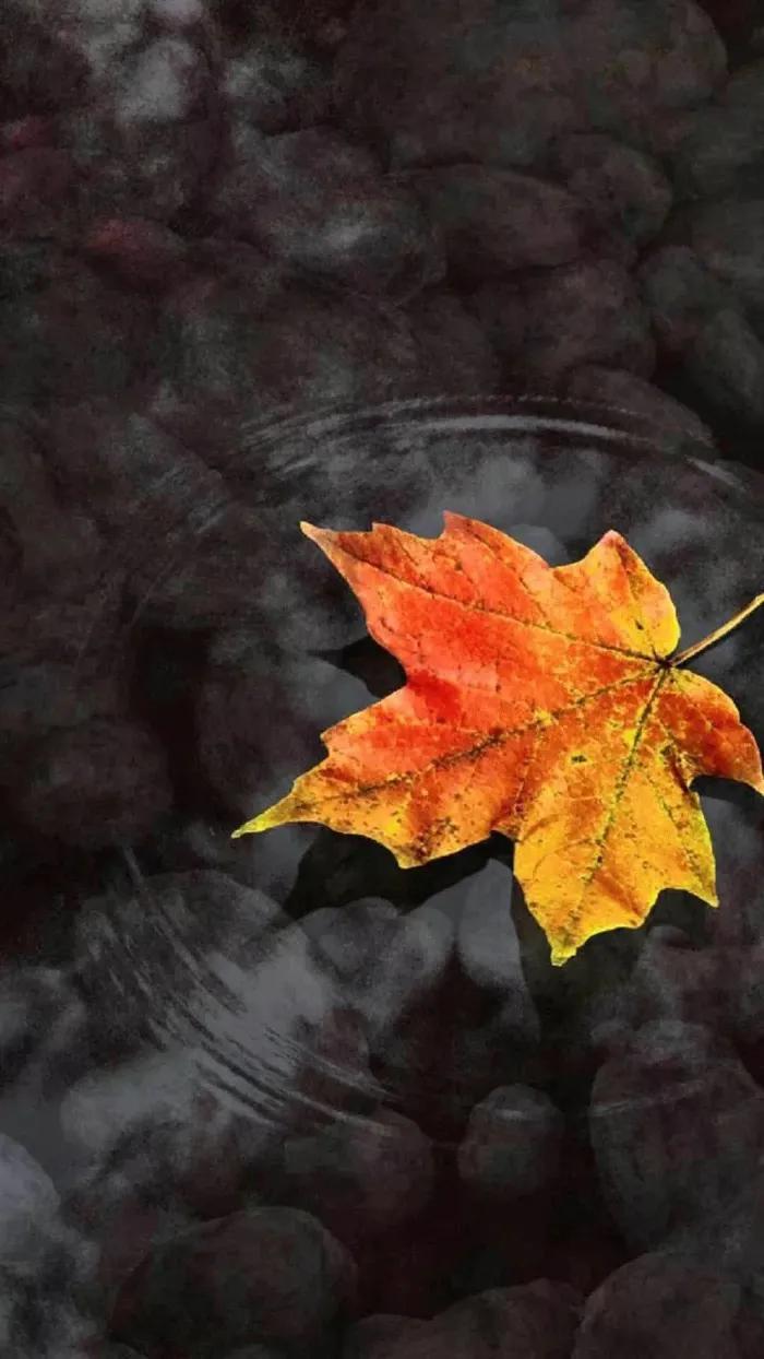 Autumn's "nickname" iNEWS