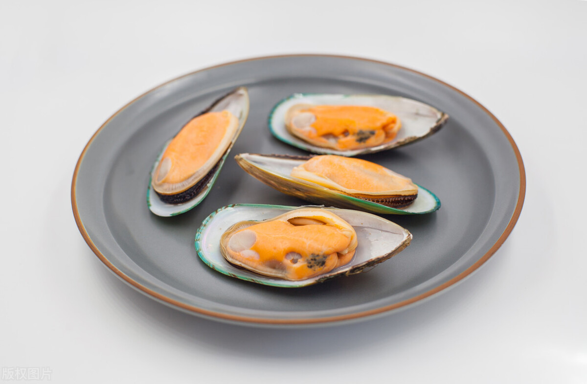 Mussels A Superfood For Dogs iNEWS