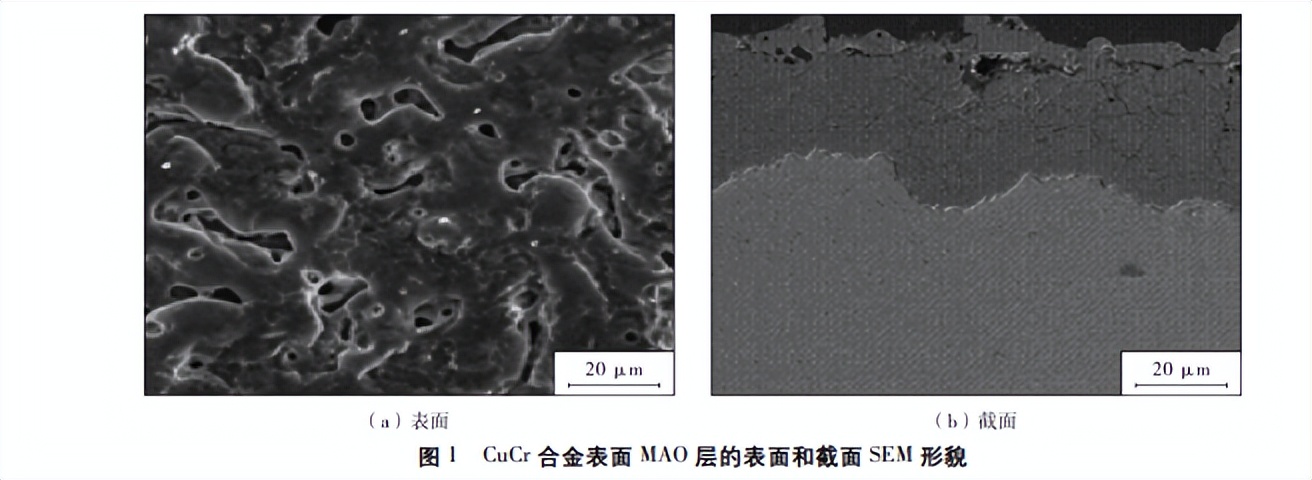 The effect of carbon black addition on the performance of polyamide ...