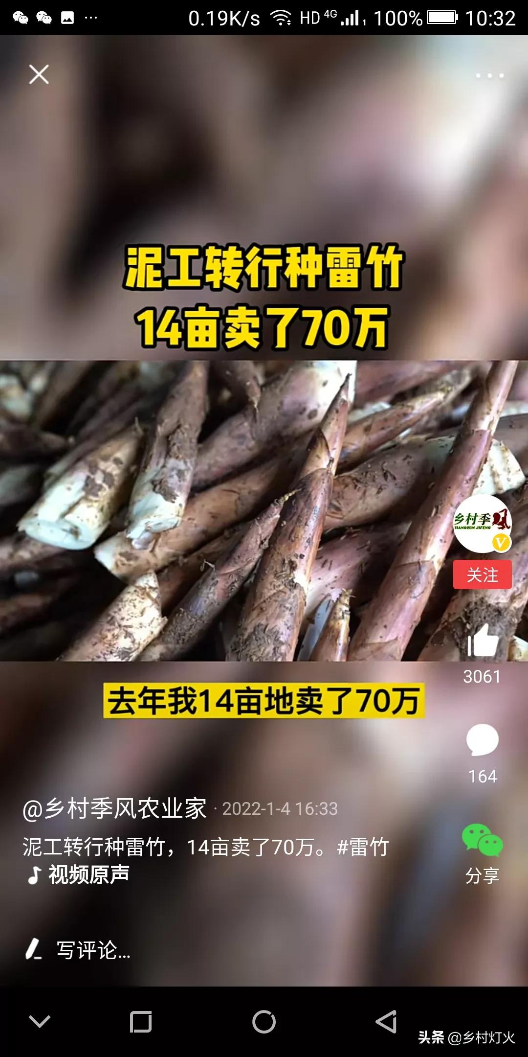 泥工种植14亩雷竹一年卖70万 雷竹种植的利润真有这么高吗 资讯咖 泥工种植14亩雷竹一年卖70万 雷竹种植的利润真有这么高吗 资讯咖