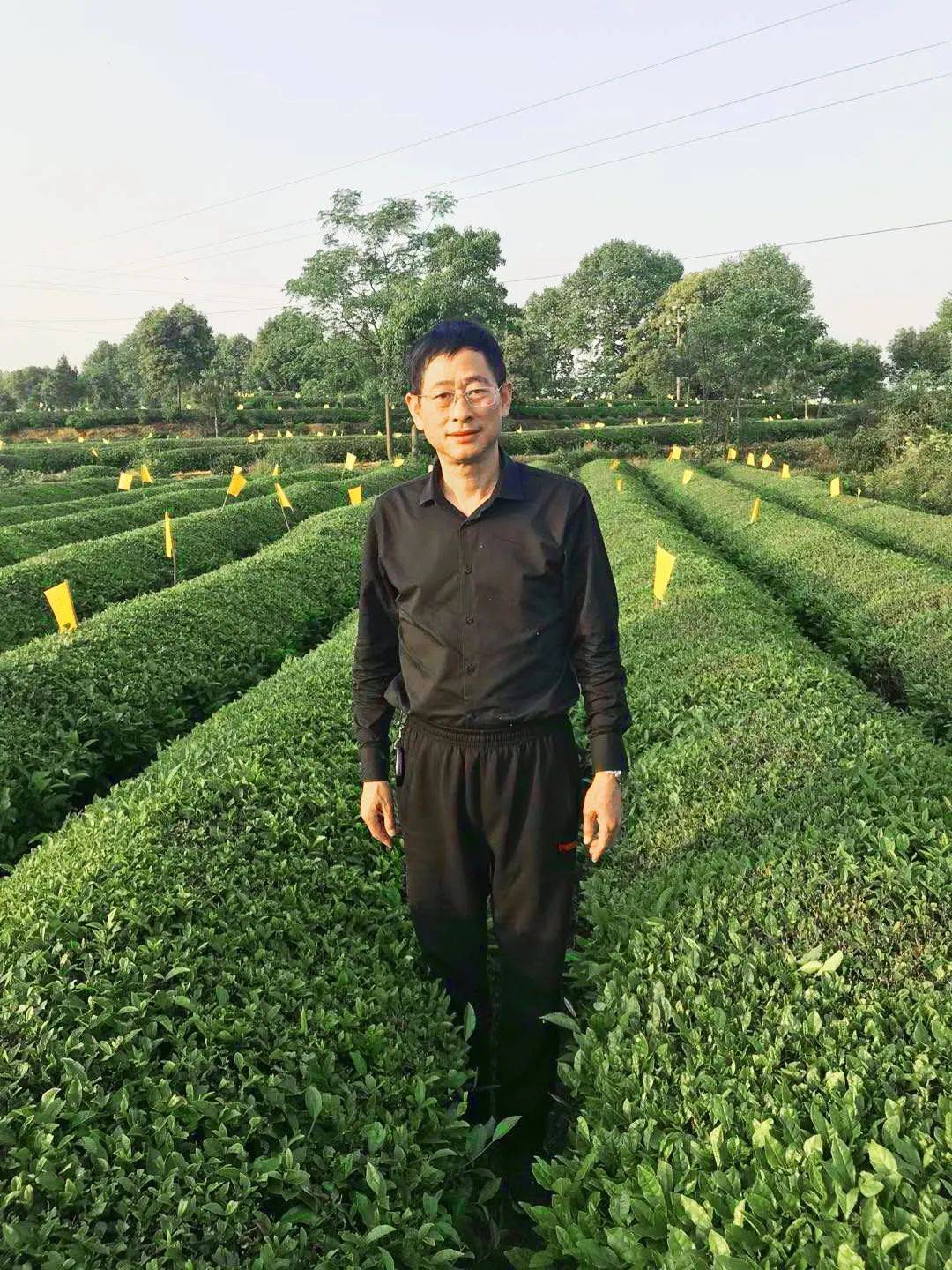 Chinese Tea Master Lu Mingde iNEWS