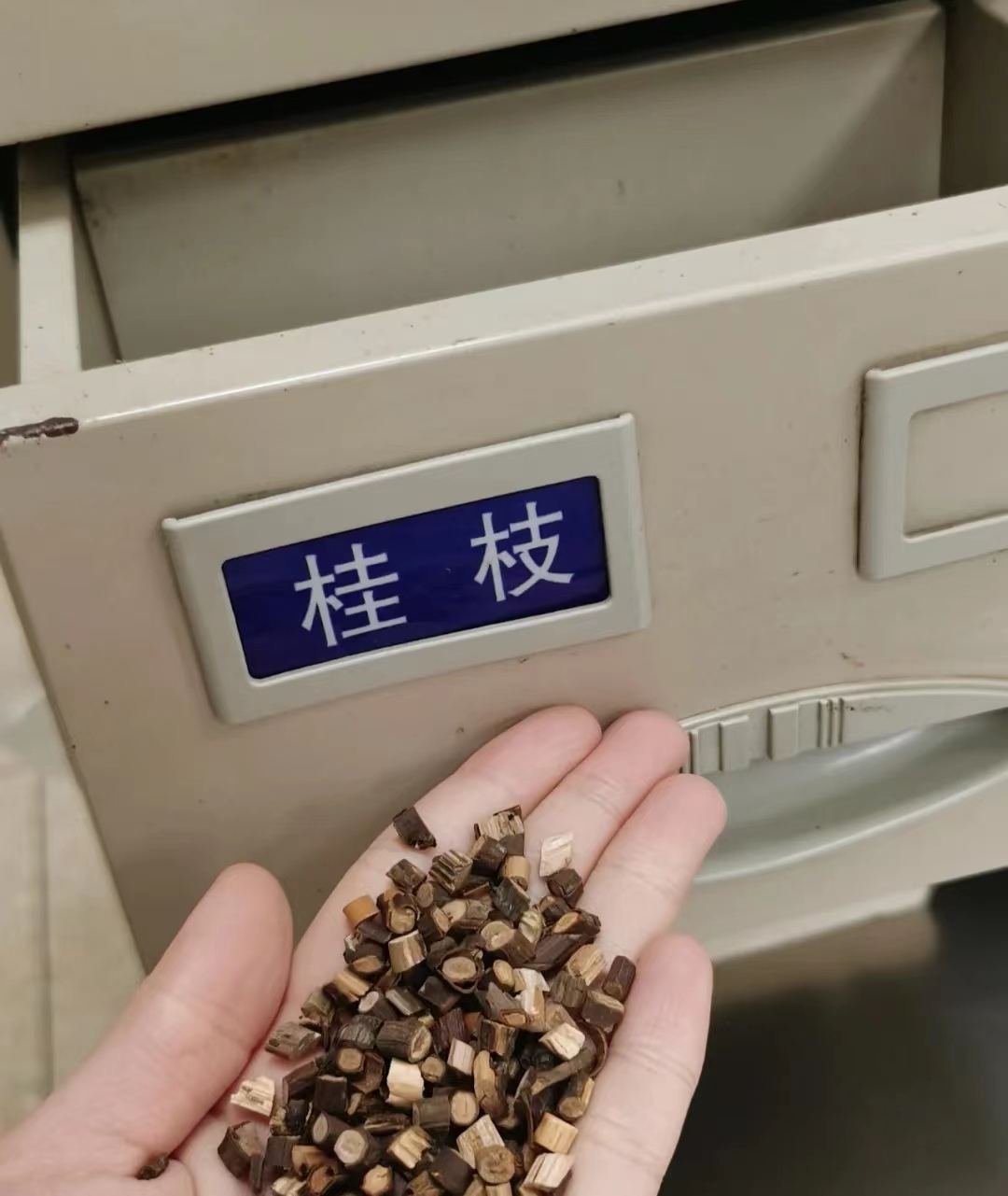 Heart yang deficiency leads to palpitations and easy awakening?Try Guizhi Licorice and Shu Qi