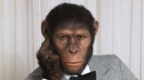 Scientists discover a chimpanzee with a genetic mutation that makes it ...