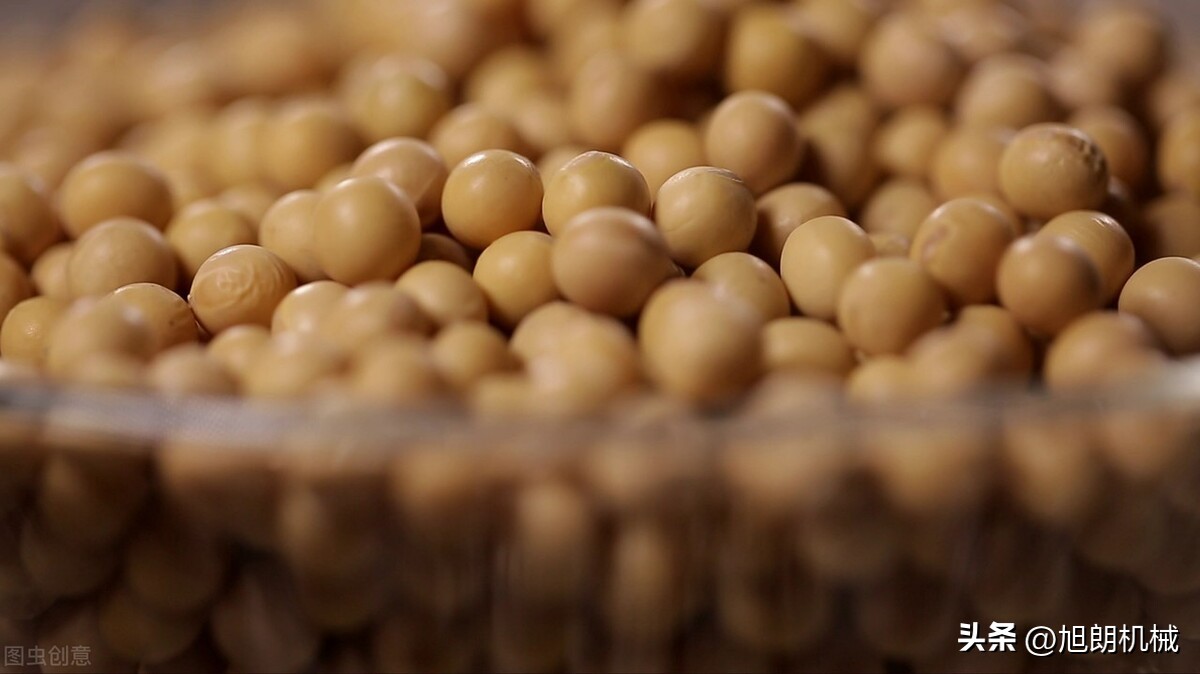 Can the soybeans be fried to be crispy? iNEWS