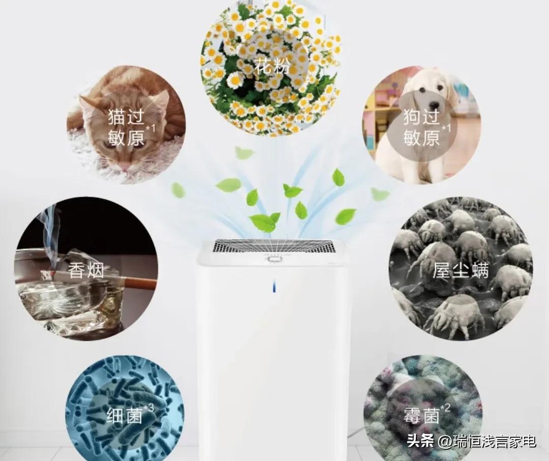 Is the air purifier easy to use, what role does it play, and what are
