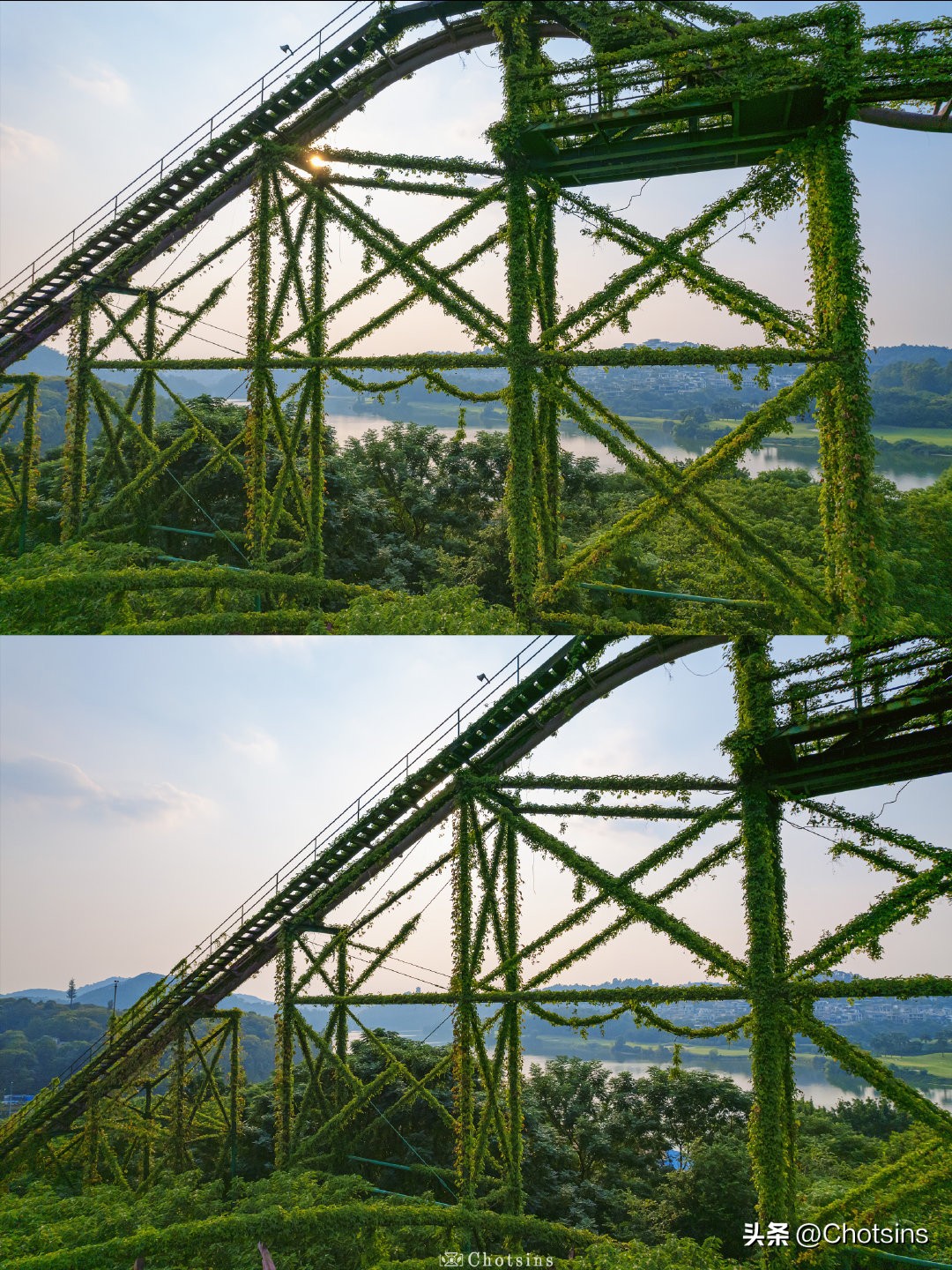 Abandoned roller coaster covered with climbing vines iNEWS