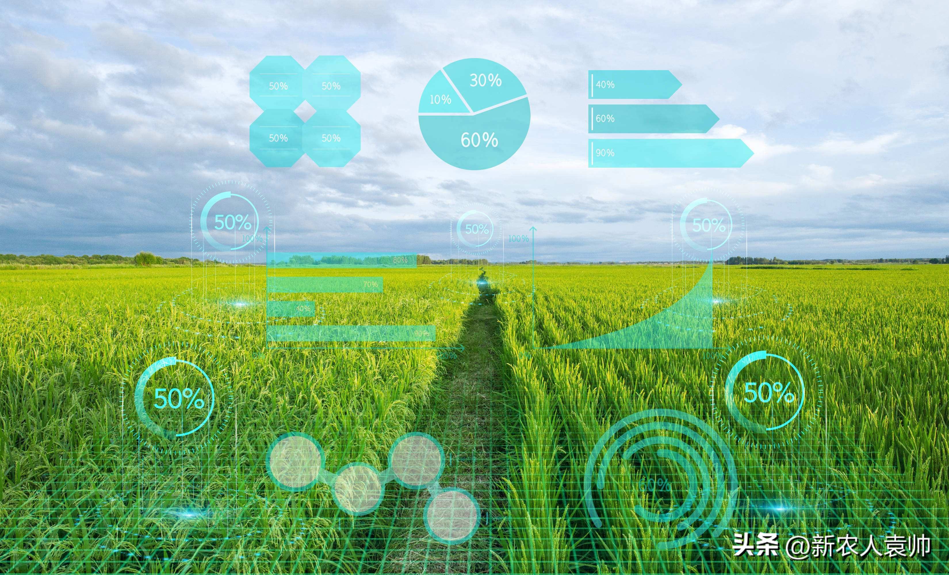 Smart Rural Credit Rural Credit Institutions Explore Multiple Models to Serve Science and ...