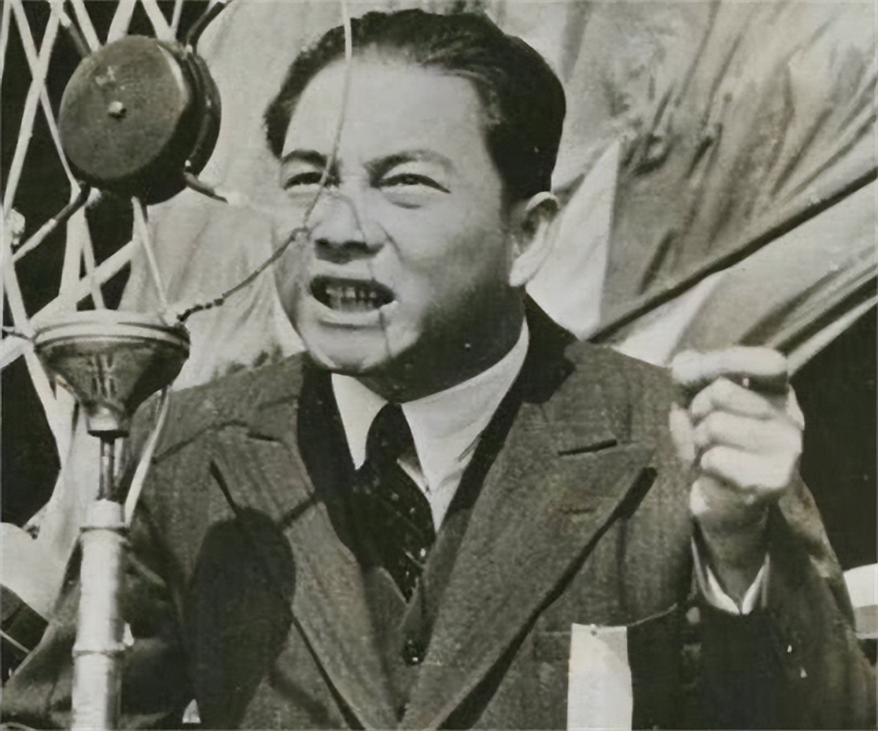 Wang Jingwei's son returned to China to worship, and after seeing his