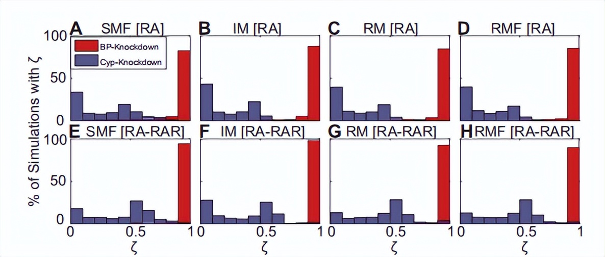 Dissecting how gene expression noise affects cell fate through cells in ...