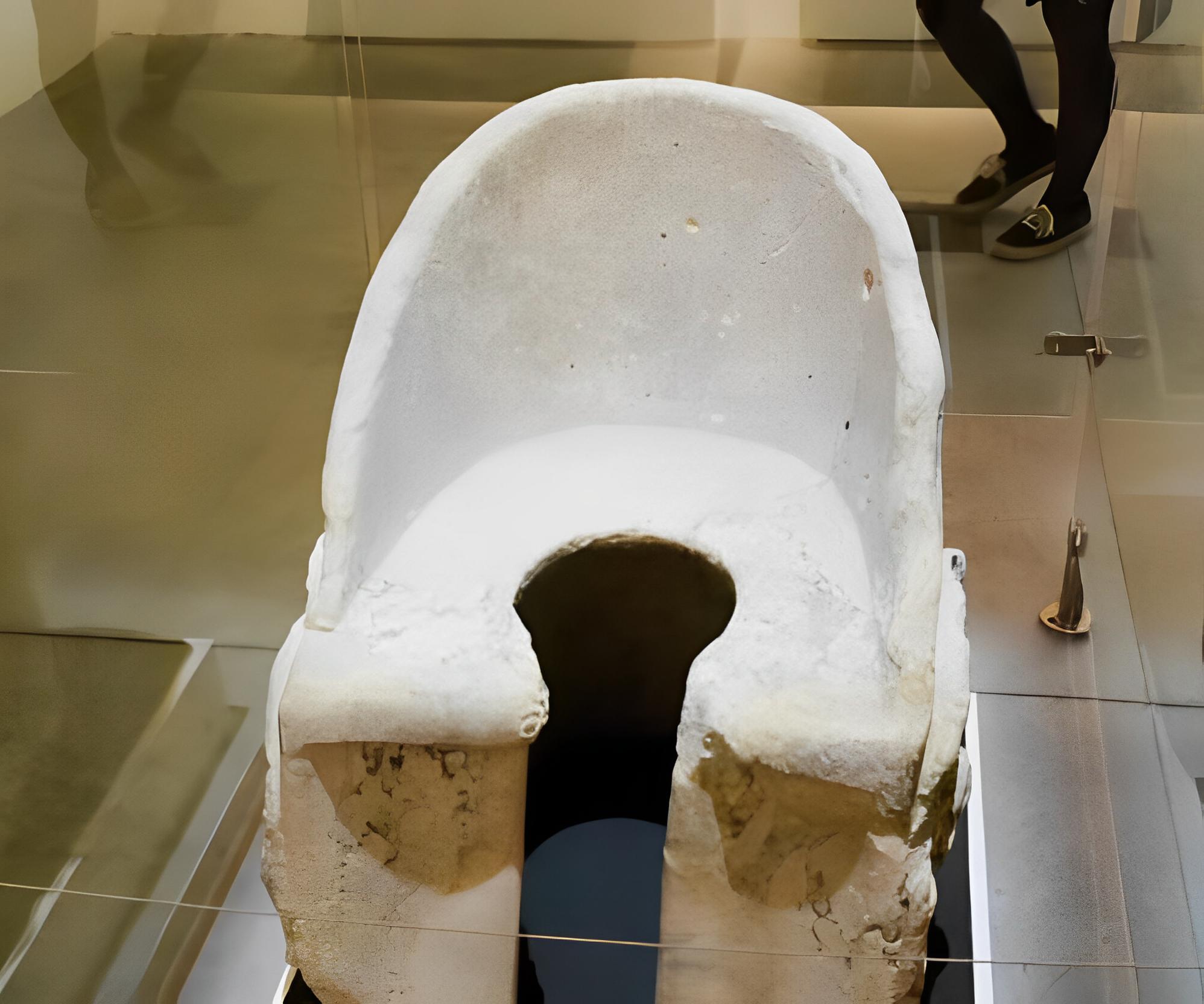 "There are 3 things in the toilet at home, and the family suffers." Do