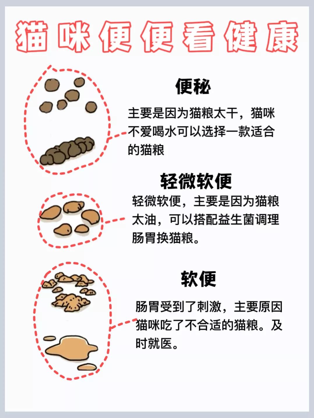 It may be because of these reasons that cats have soft stools iNEWS