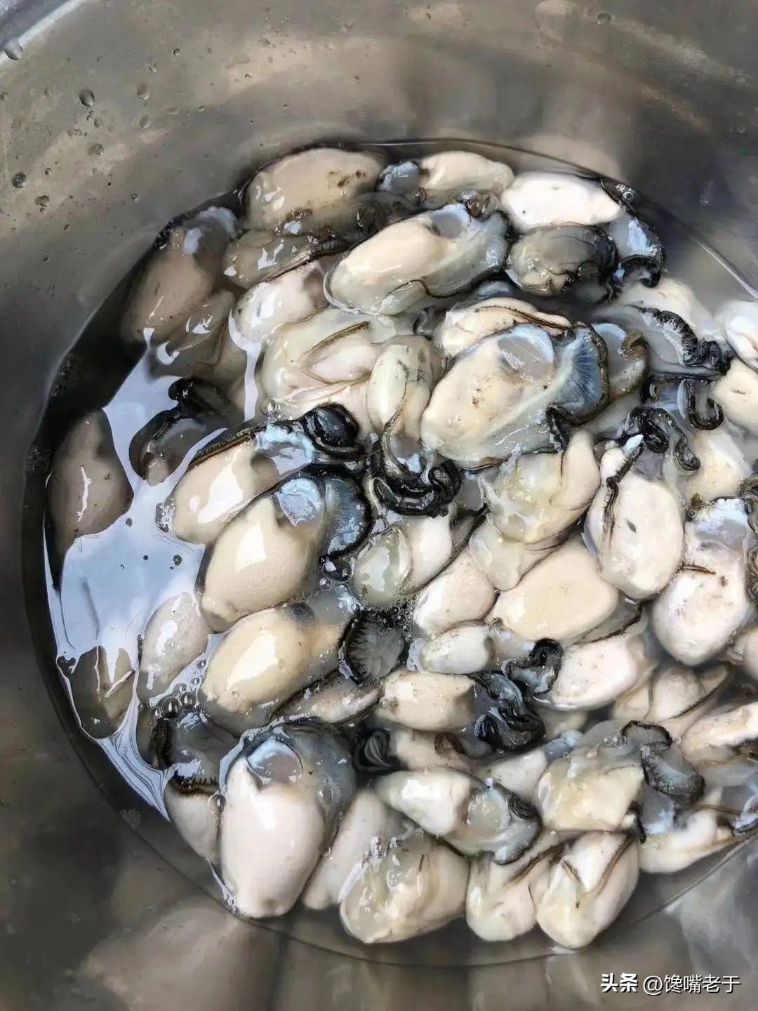 Are there really "oysters" in oyster sauce?How to identify genuine and