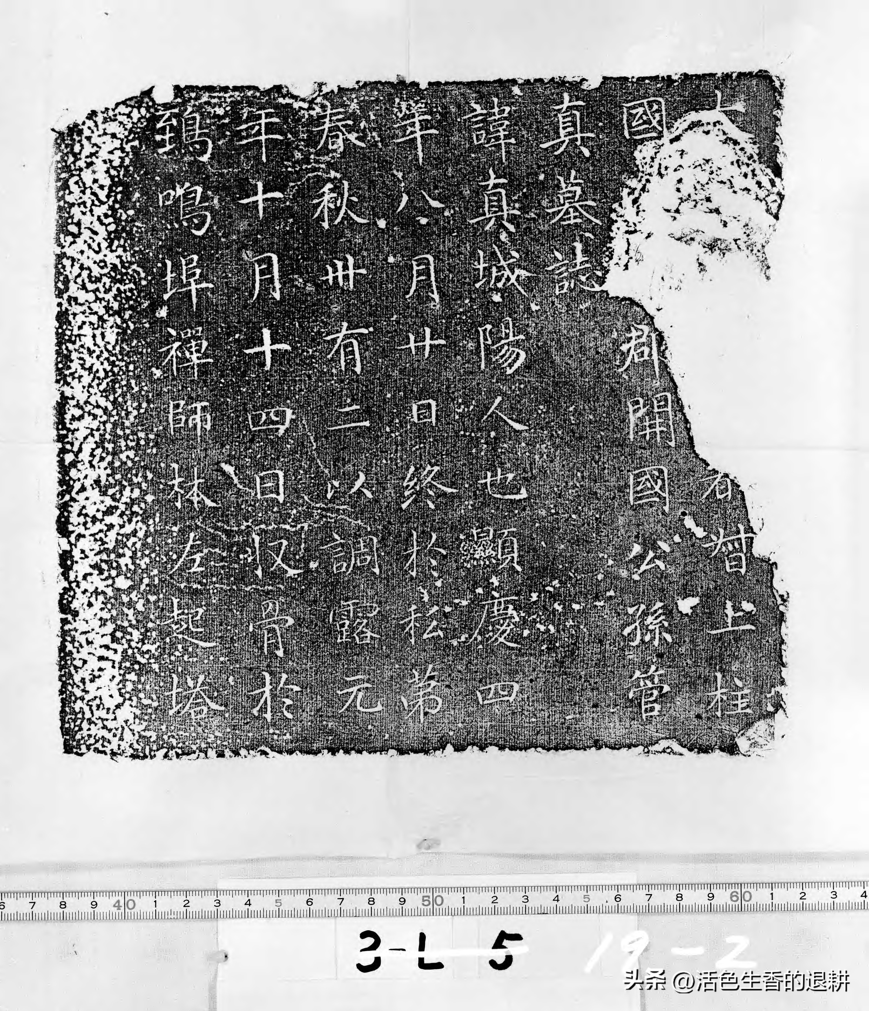 Tang Chinese Inscriptions Rubbings of inscriptions in the Tang Dynasty (2) - iNEWS