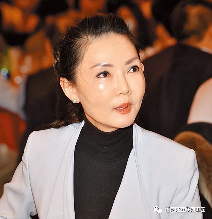 Taiwan's Richest Biography: Formosa Plastics Group of Wang Yongqing's ...