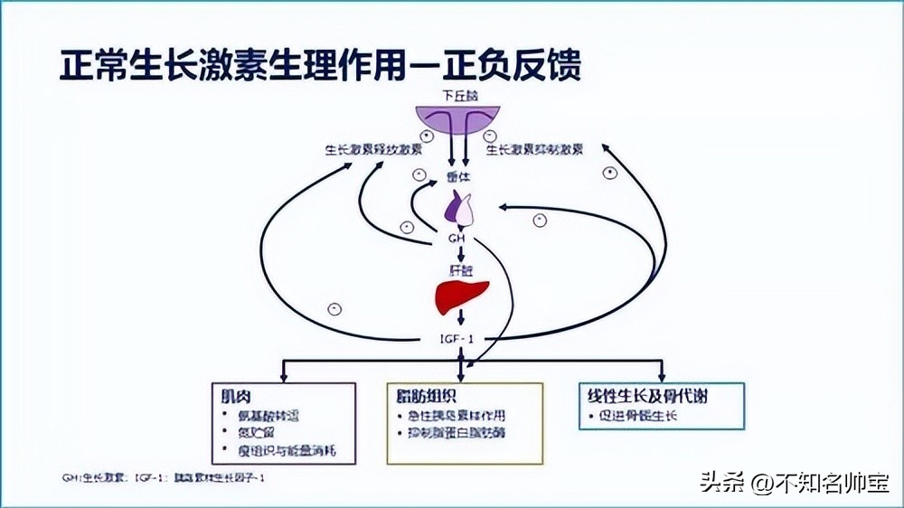 Growth hormone in children with cholestasis and pediatric liver