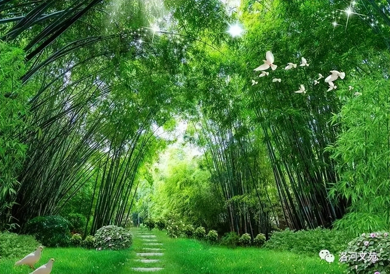 Planting Bamboo in Small Yard - iNEWS