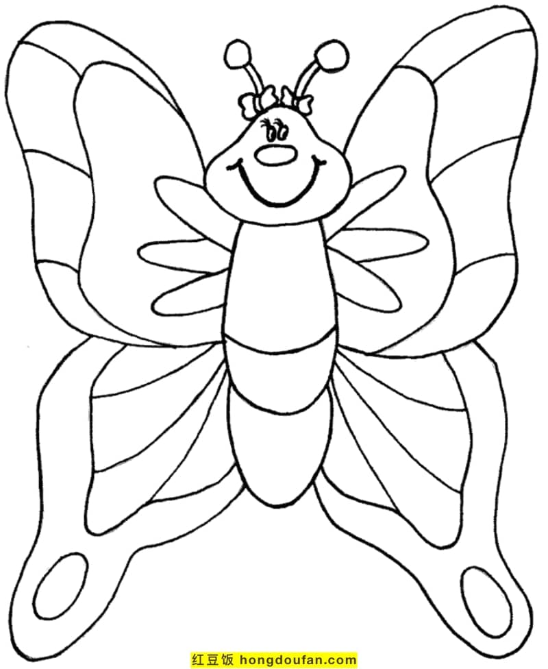 Are butterflies vertebrates?11 elegant and beautiful butterfly cartoon