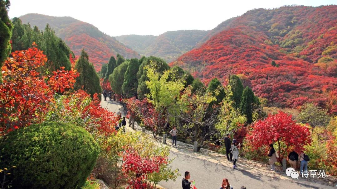 Feng Rusong Revisiting Hongye Valley Feelings - iNEWS