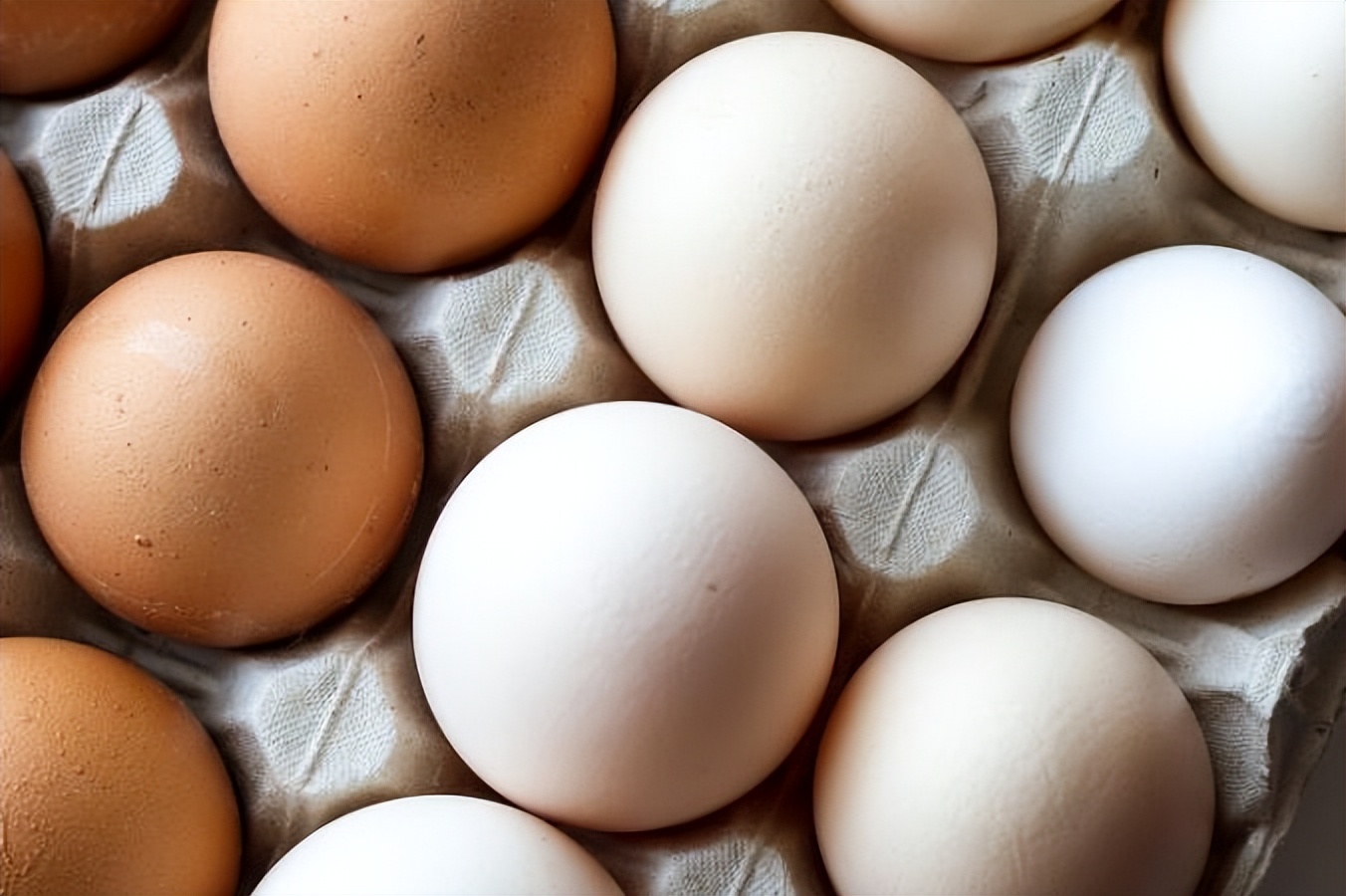 What egg is used for the custom of the vertical egg on the autumn