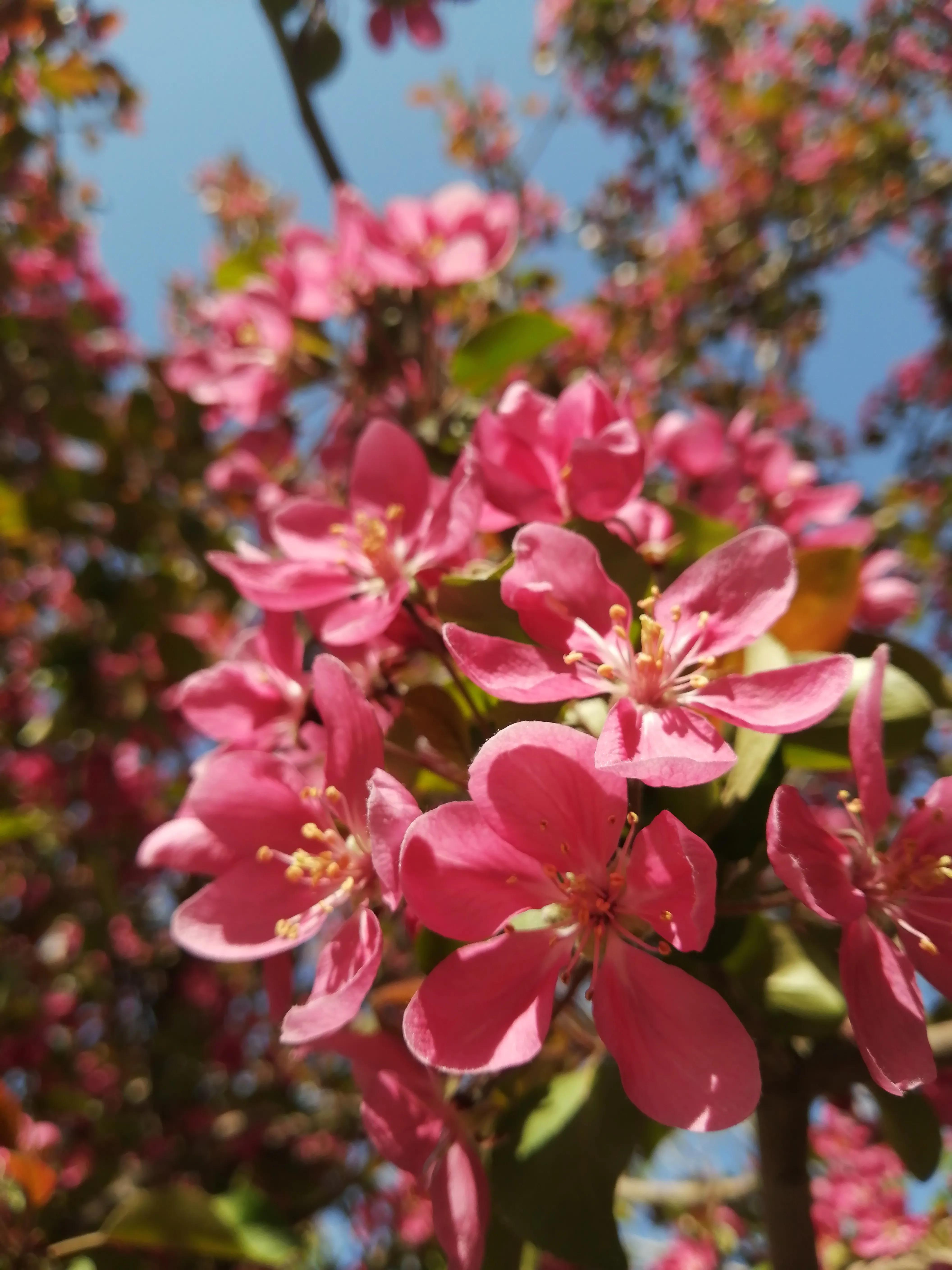 How many types of trees do you live around? iNEWS