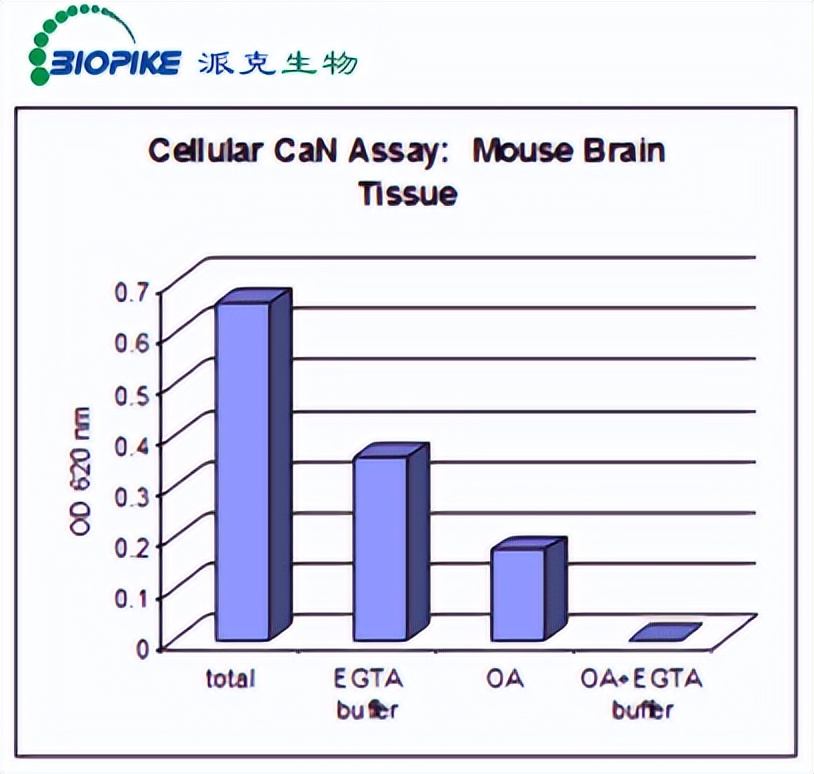 Parker Bio's Enzo Life Sciences Featured Calcineurin Assay Kit