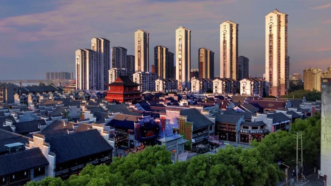 The camphor tree you don't know (1) reading the mountains, reading the