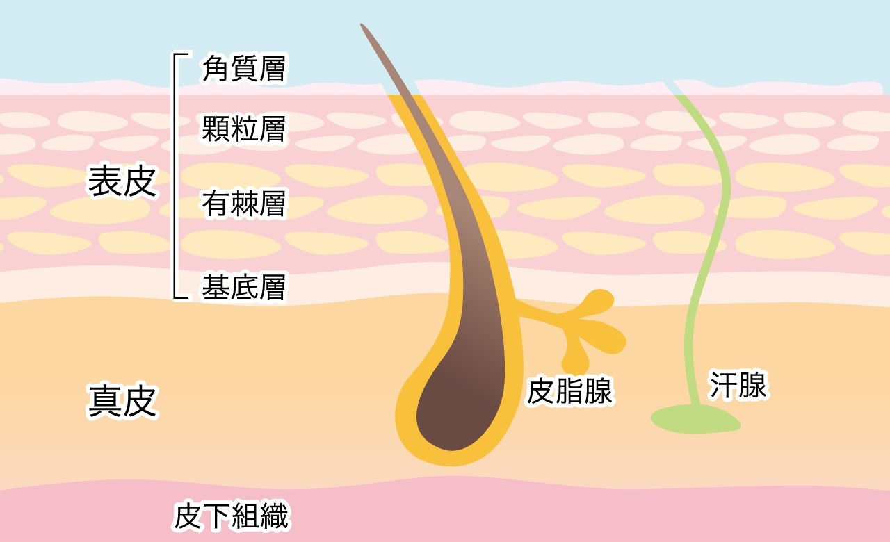 The world's unified puzzle why does a man's pillow turn yellow so